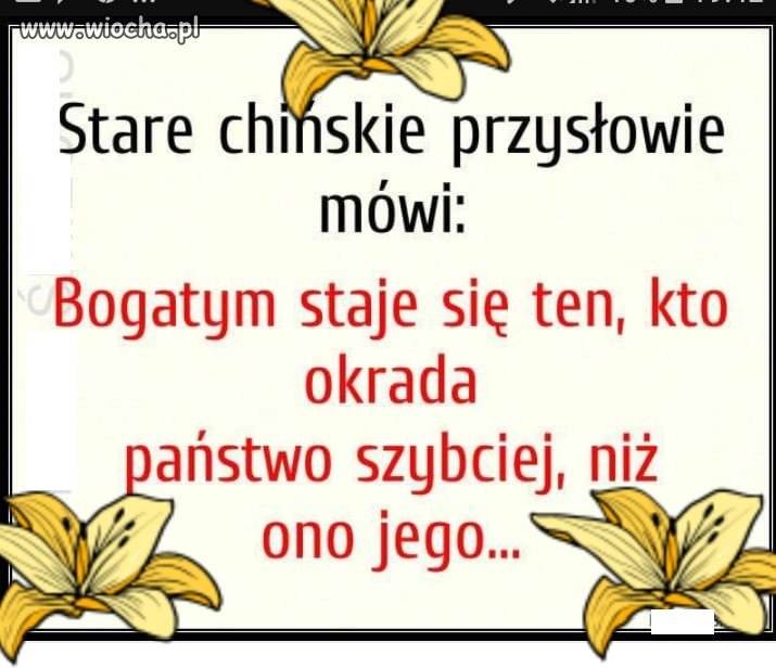 Takie tam przysłowie na czasie