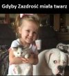 Zdrada...