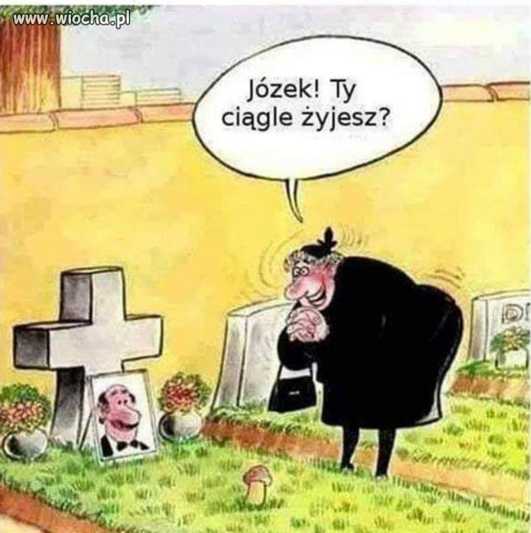Józek jak żywy. 