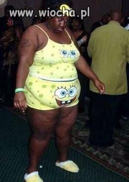SpongeBob Kanciastoporty.