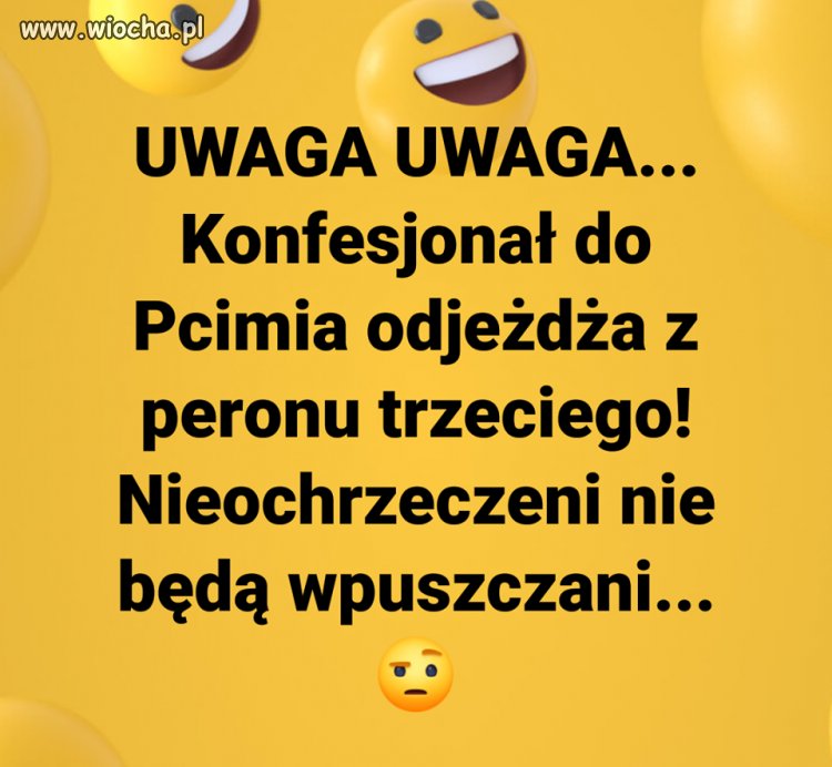 Pojadą 