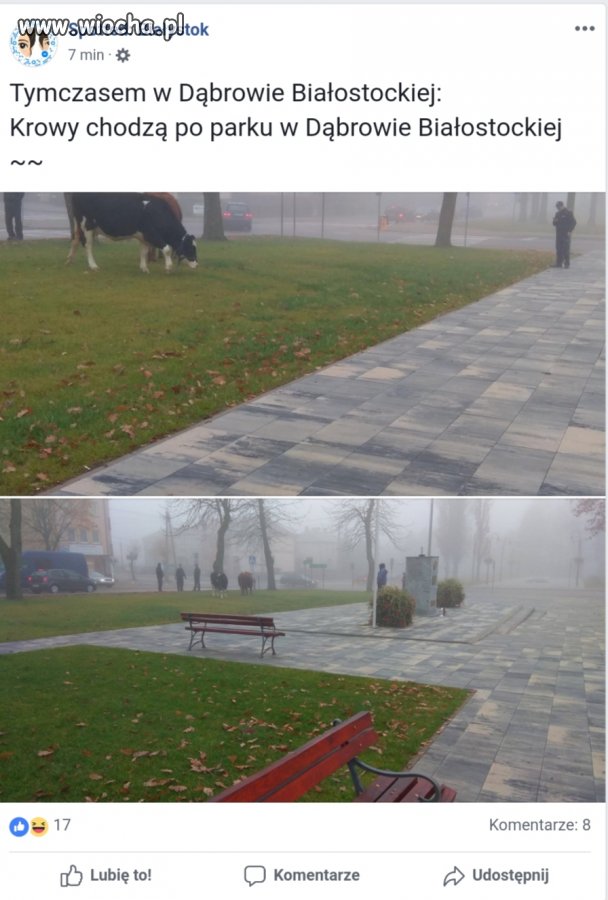 Atrakcje w parku 