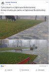 Atrakcje w parku 