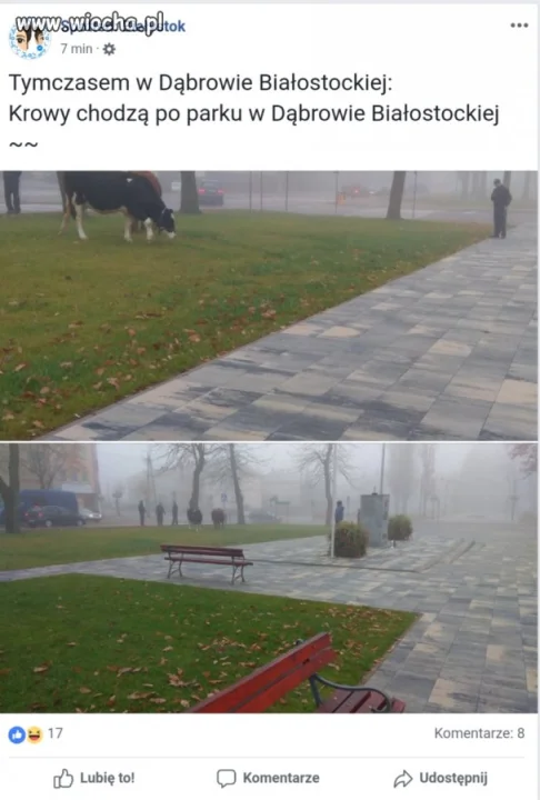 Atrakcje w parku 