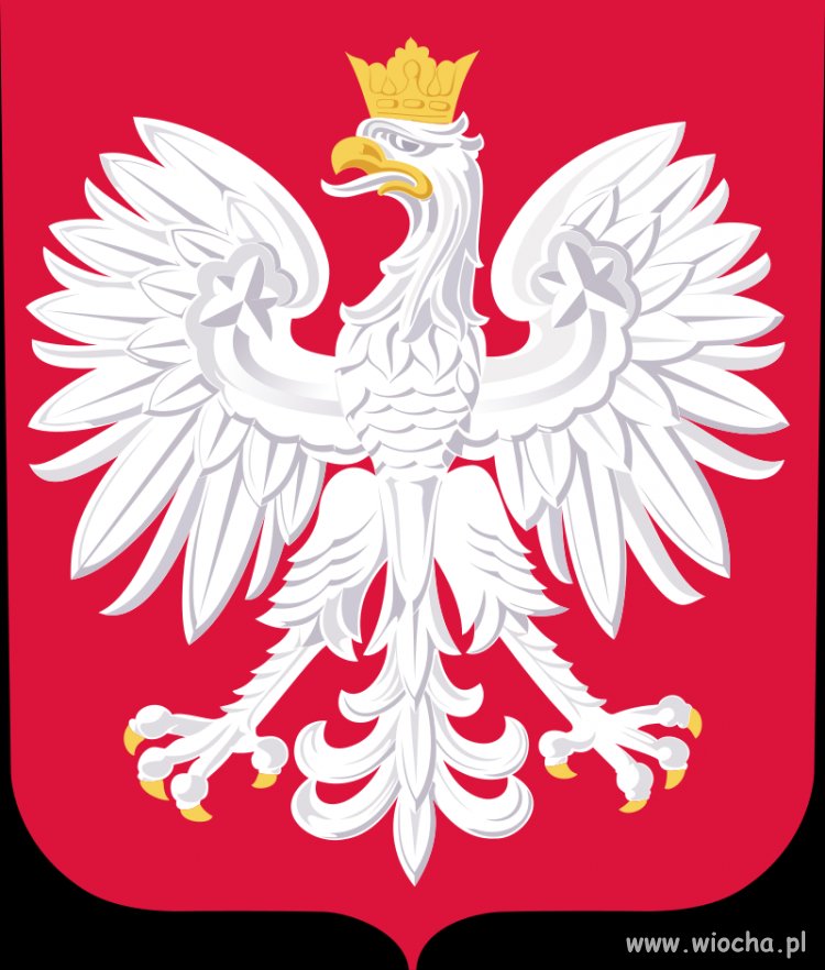 Dużo słów, i jeszcze więcej myśli...