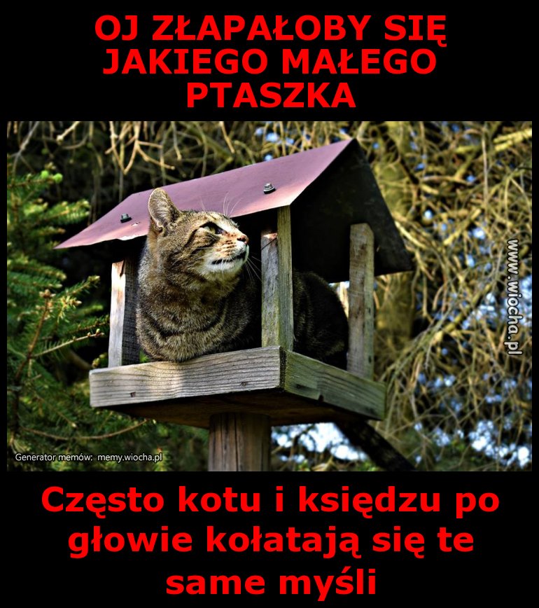 OJ ZŁAPAŁOBY SIĘ JAKIEGO MAŁEGO PTASZKA