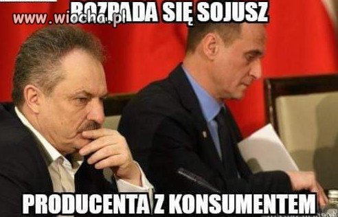 W Kukiz'15