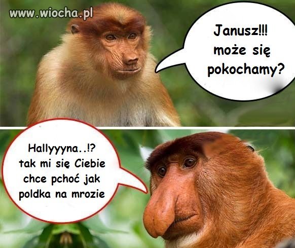 Halynka chce...