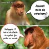 Halynka chce...