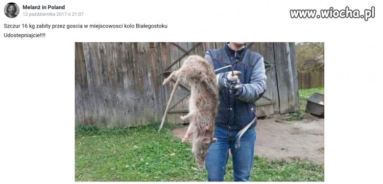 Dlaczego PiS wygrywa na Podlasiu?