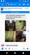 Ludzie mnie przerażają 