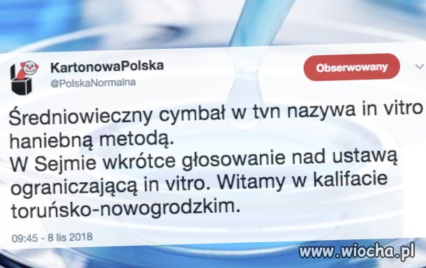 Witamy w kalifacie...