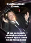 Kot prezesa ma ochrone