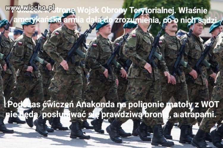 US ARMY lekceważy bojówki partyjne PiS