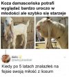 Niektóre laski