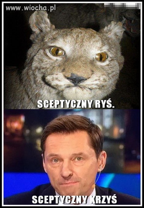 No cóż... nie jest dobrze 