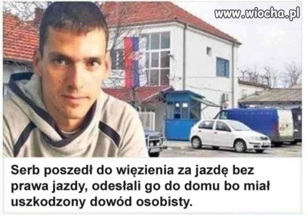 Nie mam nic