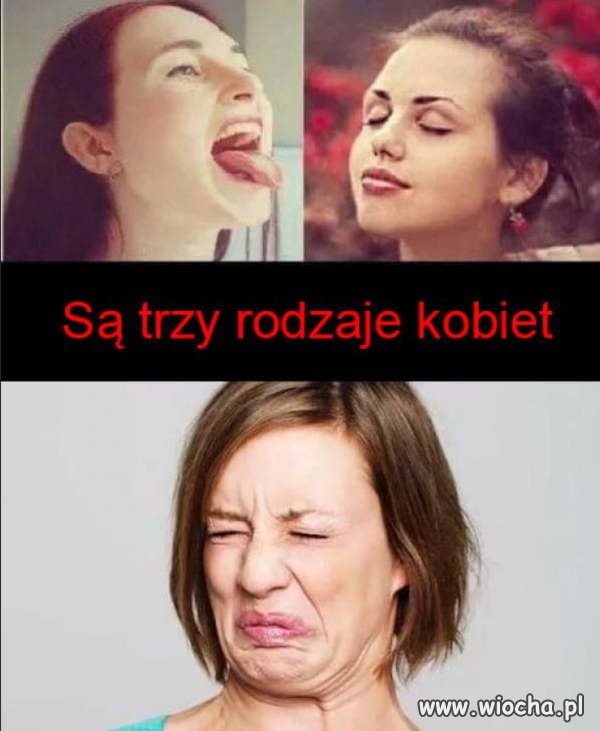 Głupkowate