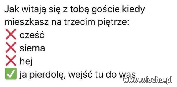 No coś w tym stylu