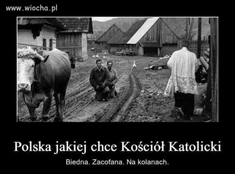 Moherom to pasuje