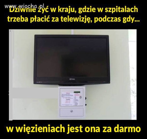 Tak się powodzi więźniom za nasze podatki.