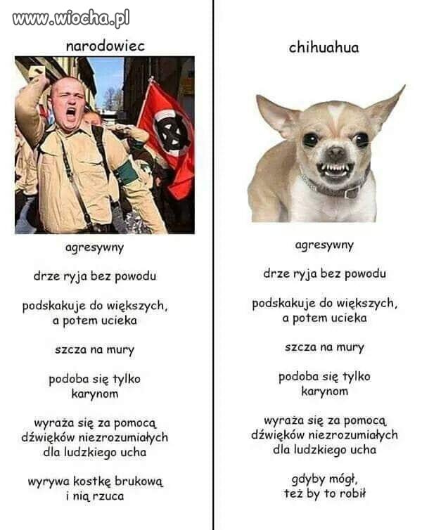 Tyle w temacie