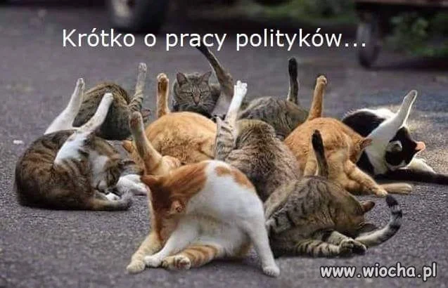 Takie tam...