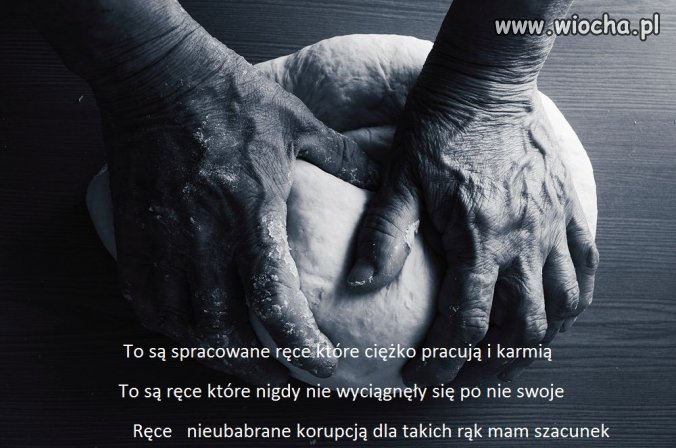 Do polityków wszelkiej maści