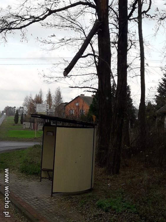 Za Rydzykujesz ?