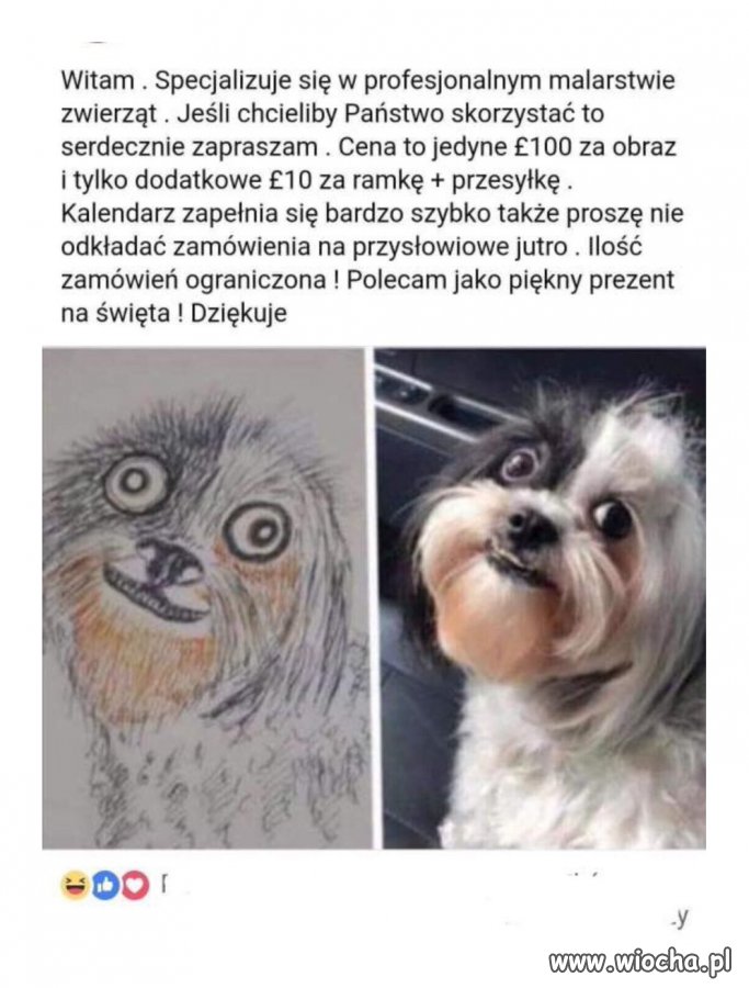 Profesjonalizm w każdym calu!