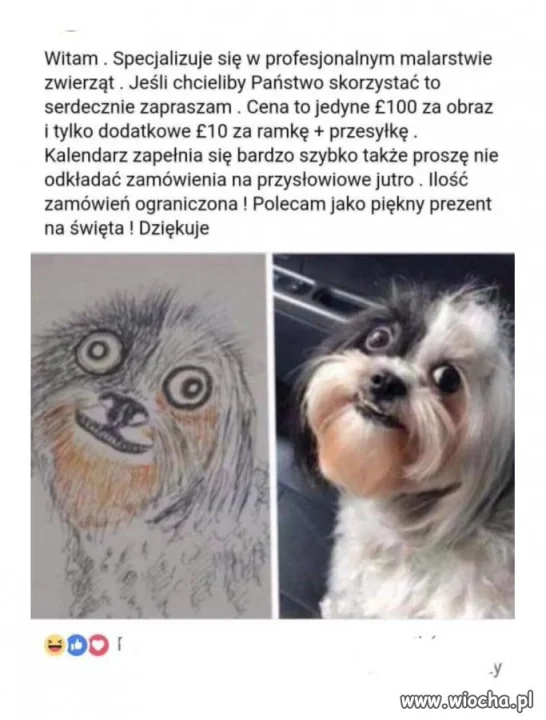 Profesjonalizm w każdym calu!