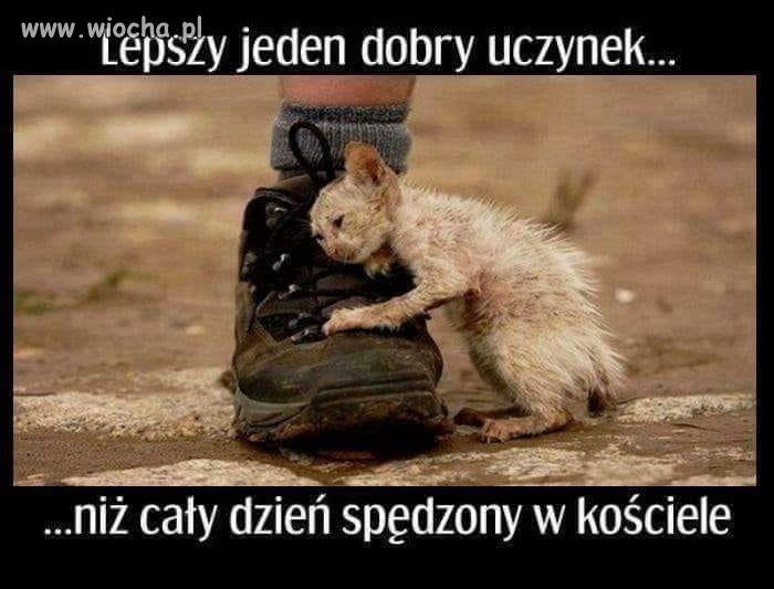 Tymczasem 