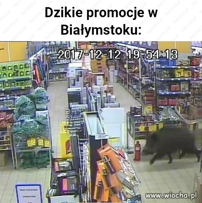 I znowu Białystok