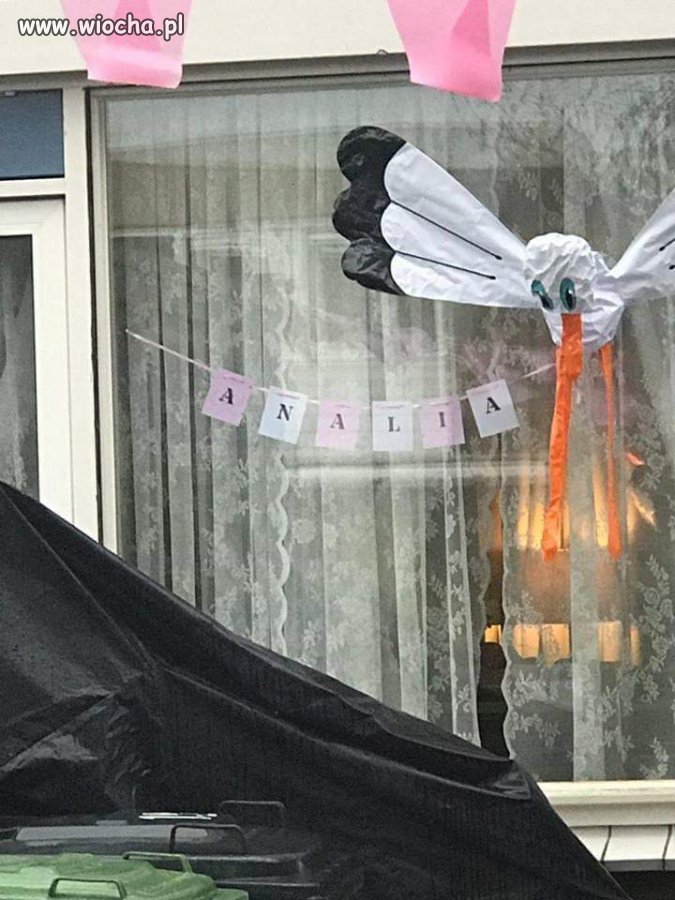 Wilkommen na świecie Analia