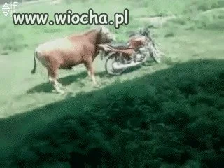 Ha ha ha...