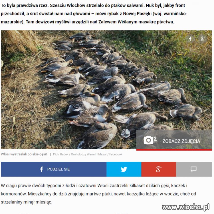 Tak się "bawią" Włosi w Polsce