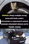 Pamiętajcie o tym, gdy nadejdą mrozy