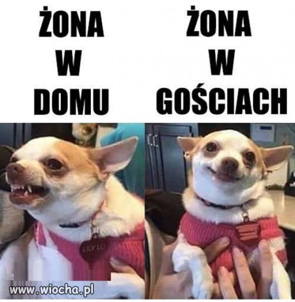 100%