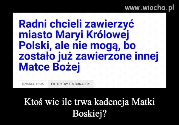 Kiedy myślałeś że głupota w Polsce osiągnęła dno
