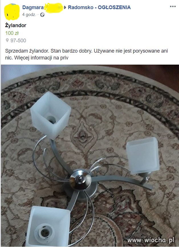 Żylandor