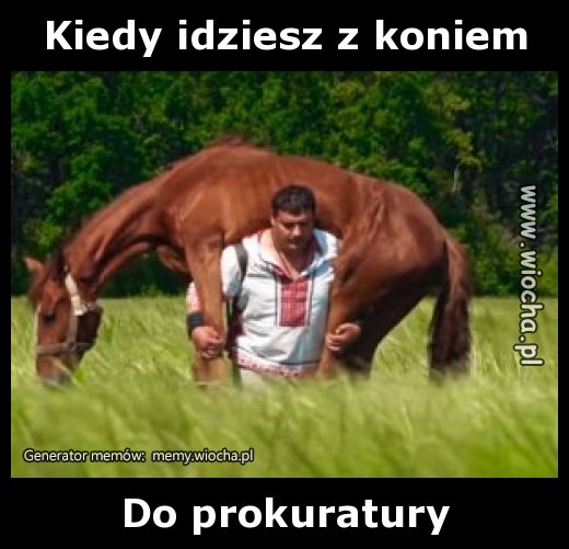 Kiedy idziesz z koniem