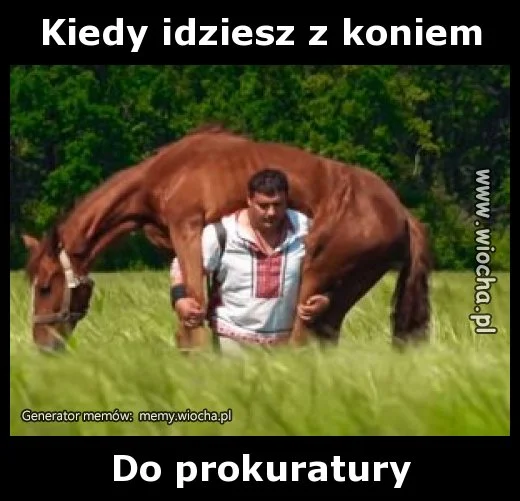 Kiedy idziesz z koniem