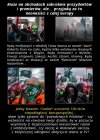 Na takie obchody (za całe 240 mln zł)