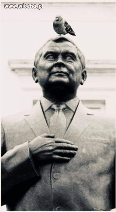 Totalna opozycja wysłała zwiadowcę