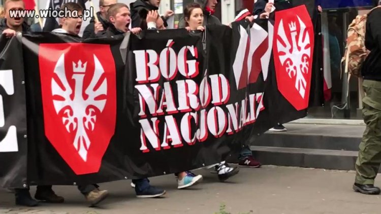 Znowu puszczono trzodę na ulicę