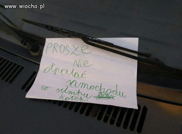 Tak postępują mali bohaterowie 