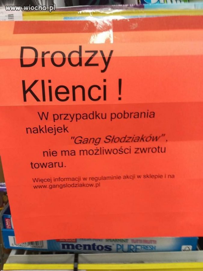 Gang ale raczej nie słodziaków
