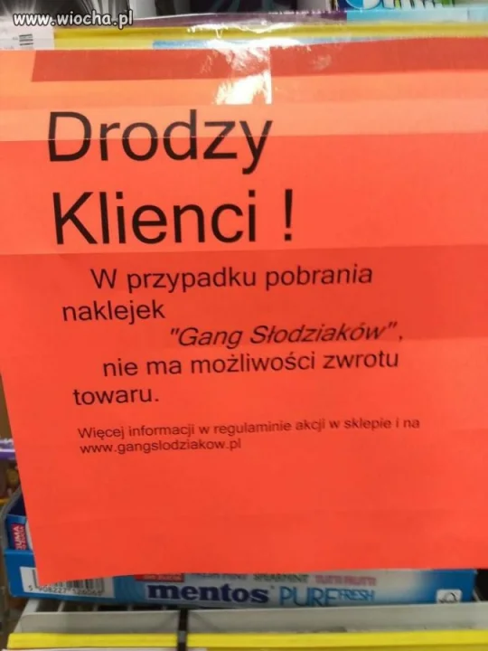 Gang ale raczej nie słodziaków