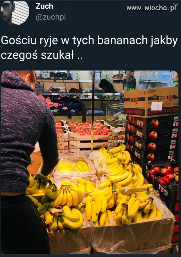 Szukajcie