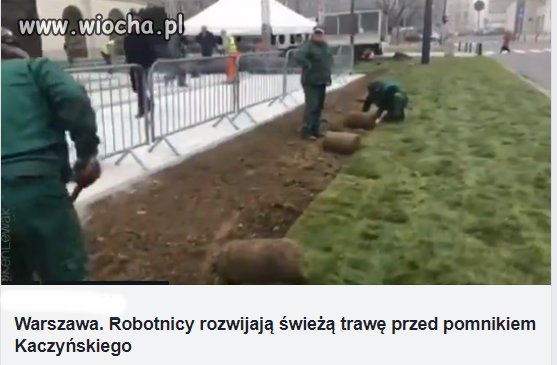 Pamiętam te czasy jak w grudniu sadzono